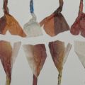 Detail 9